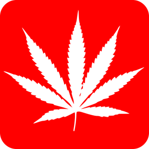 \"cannabis-154209_640\"